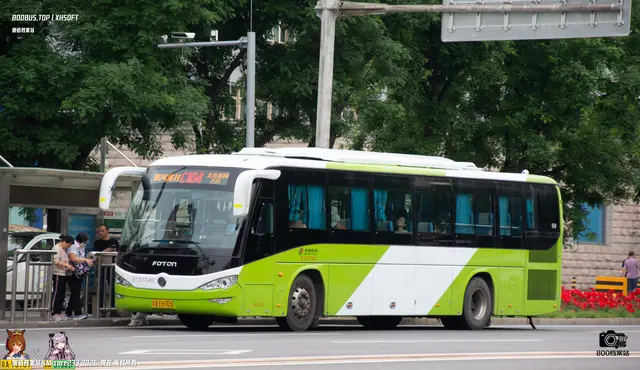 800BUS