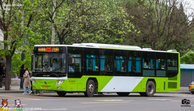 800BUS