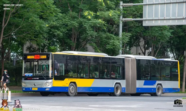 800BUS