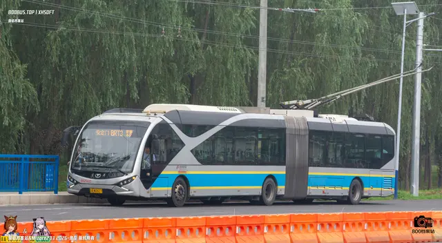 800BUS