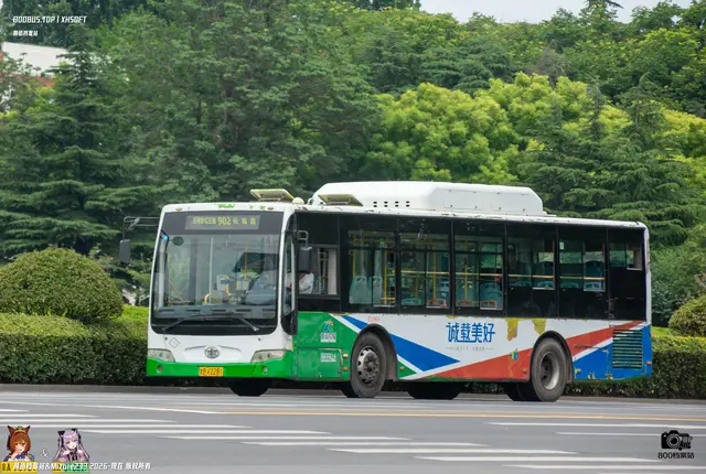 800BUS