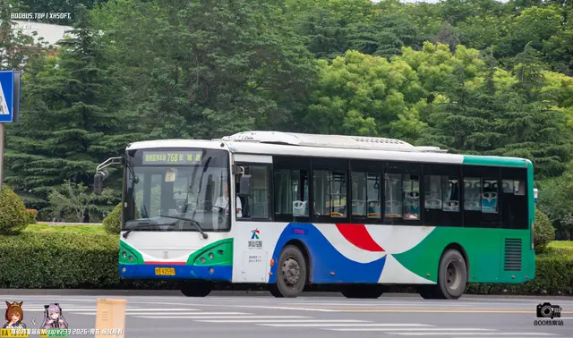 鲁B V2590