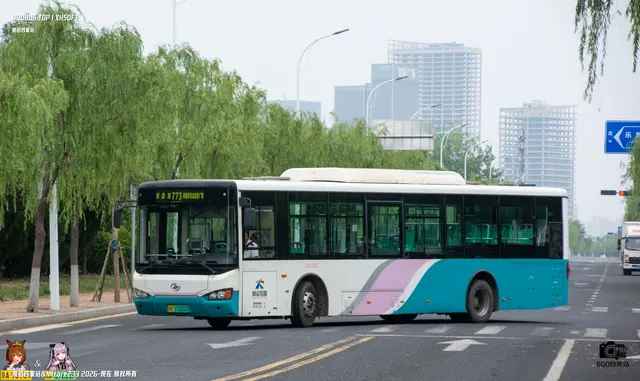 800BUS