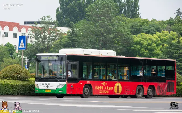 800BUS