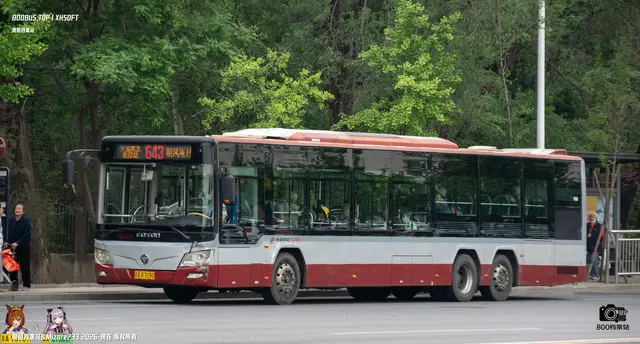 800BUS