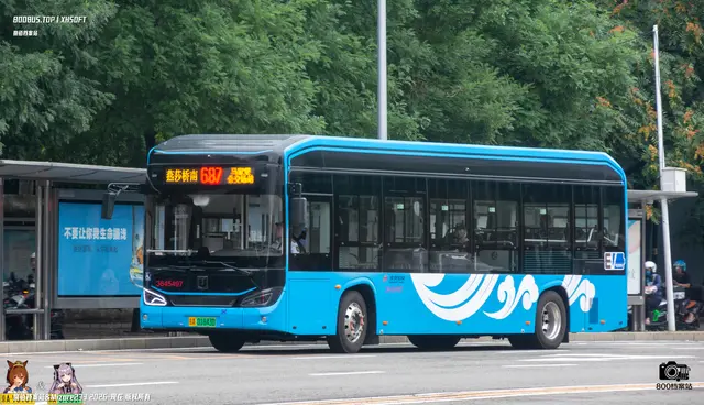 800BUS
