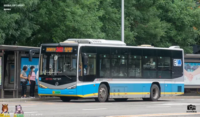 800BUS