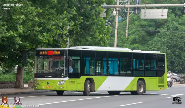 800BUS