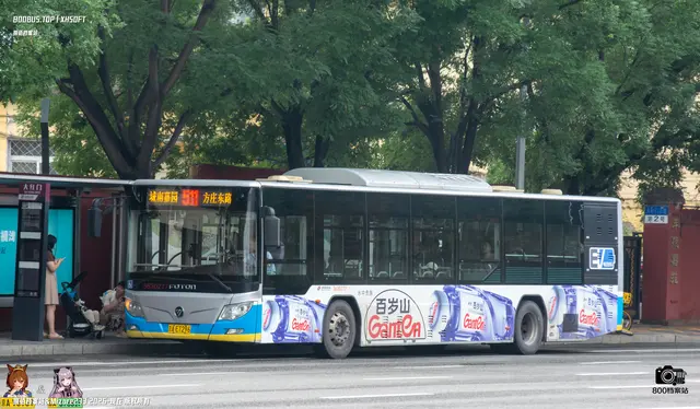 800BUS