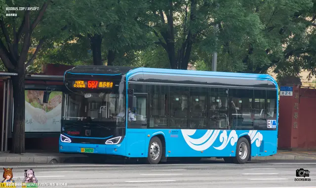 800BUS