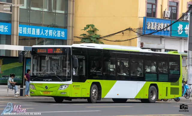 800BUS