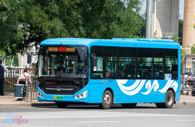 800BUS