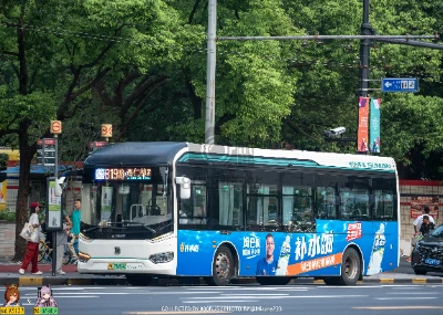 沪A 55699D