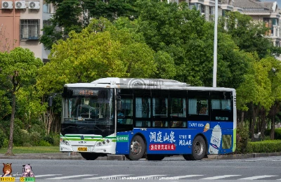 沪D R8340