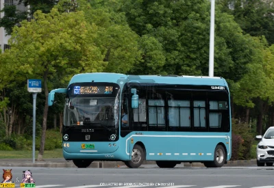 沪A 16135A