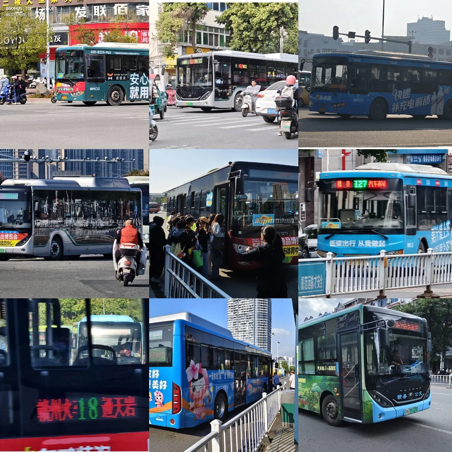 Bus Archive