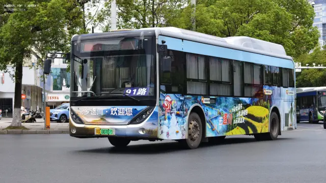 800BUS
