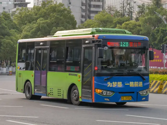 800BUS