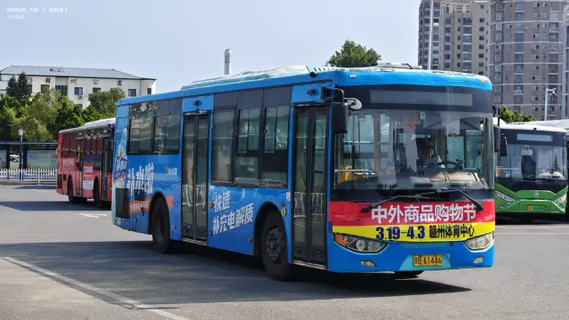 800BUS
