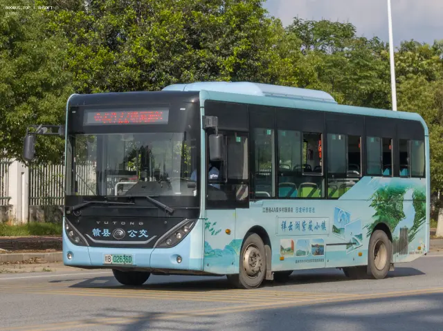 800BUS