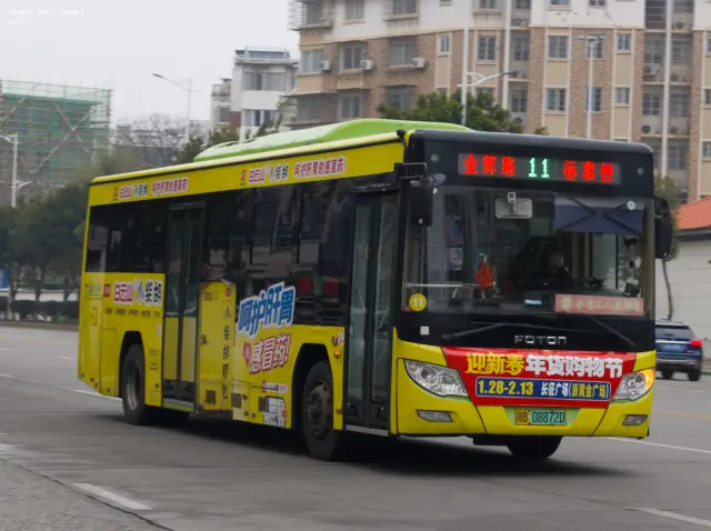 800BUS