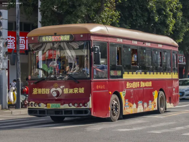 800BUS