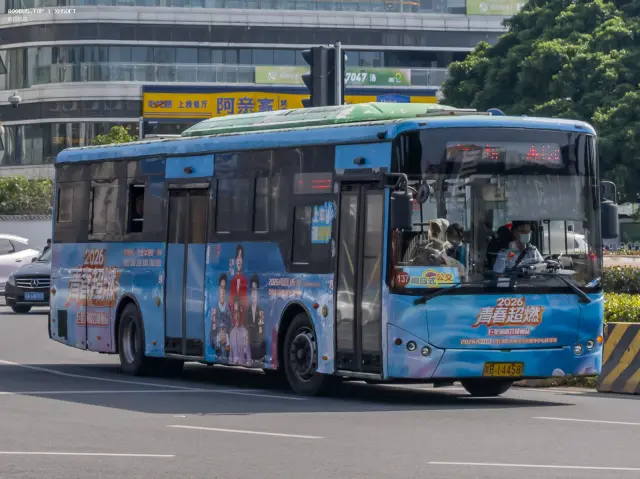 800BUS