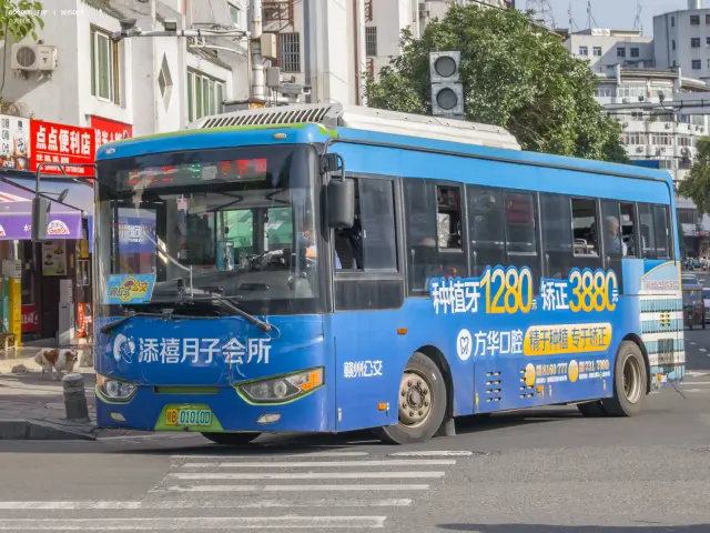 800BUS