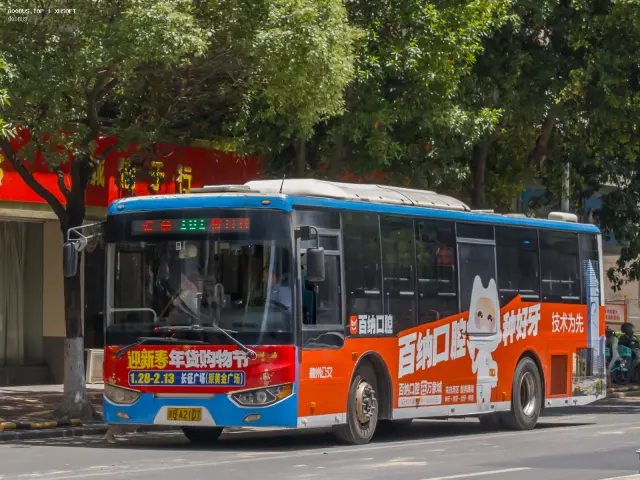 800BUS