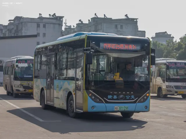 800BUS