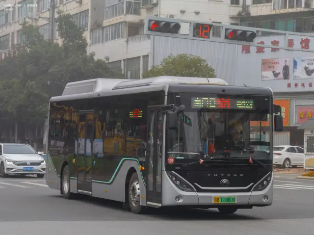 800BUS