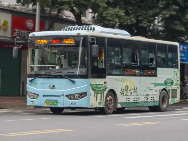 800BUS