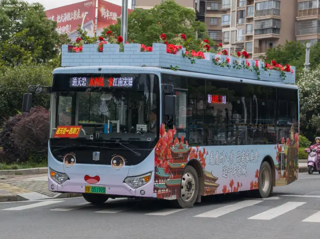 800BUS