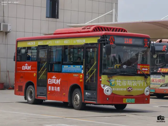 800BUS