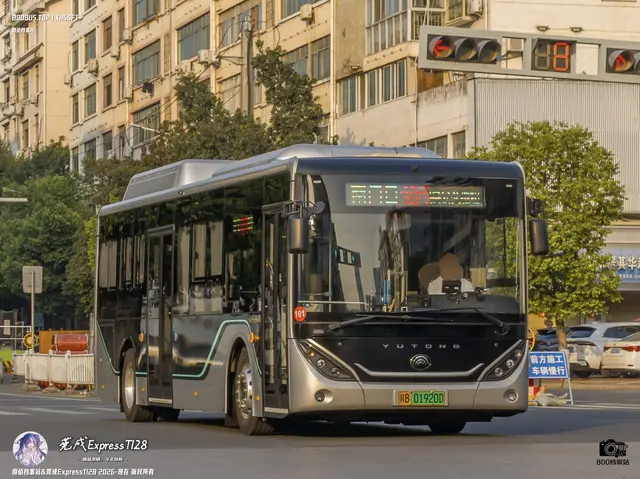 800BUS