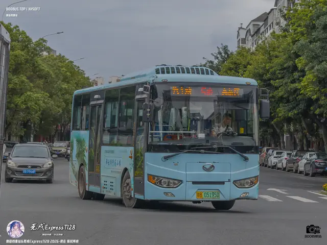 800BUS