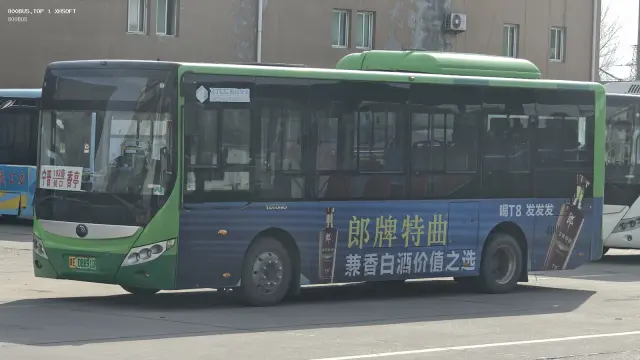 800BUS