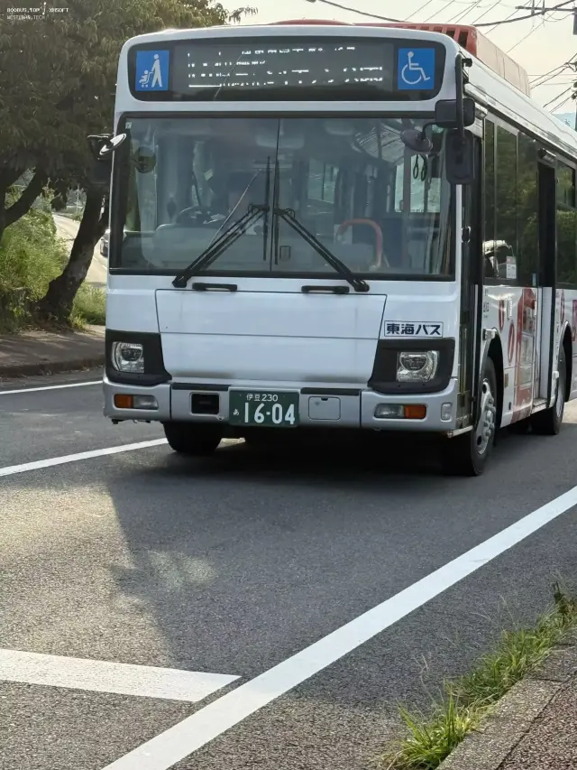 800BUS