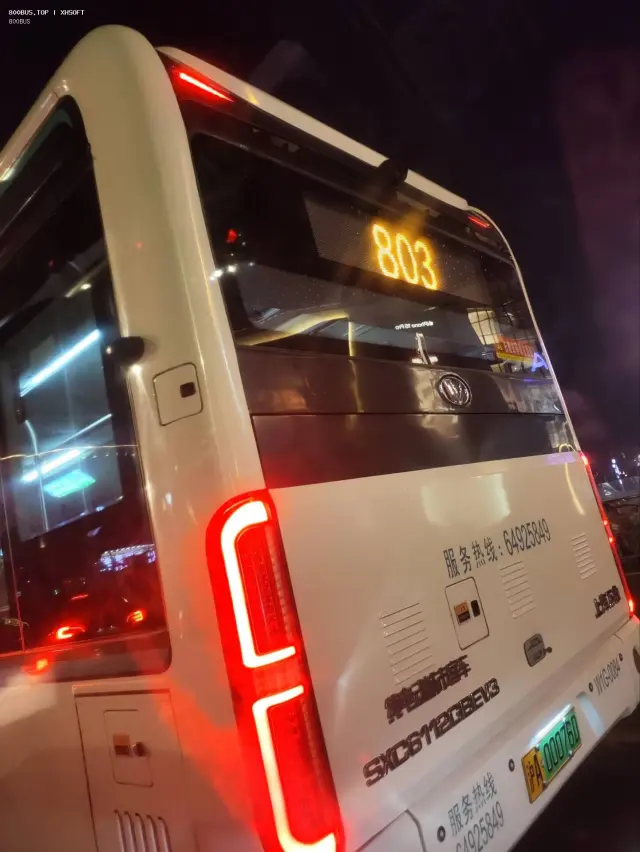 800BUS