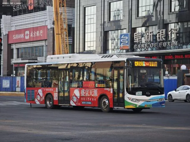 辽A01231F