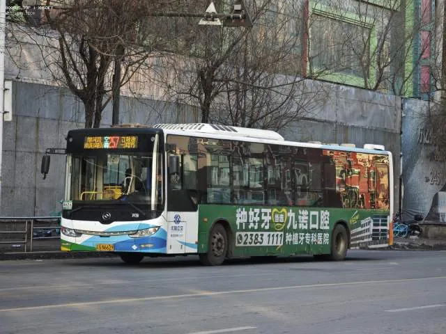 辽A N6629