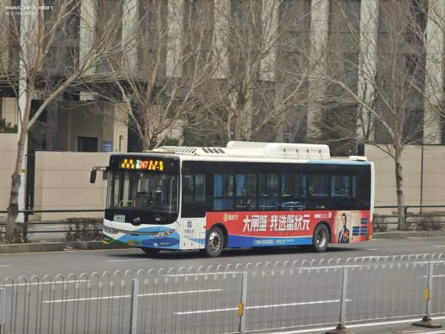 辽A 03868F