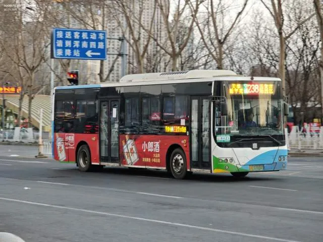 辽A 07606D