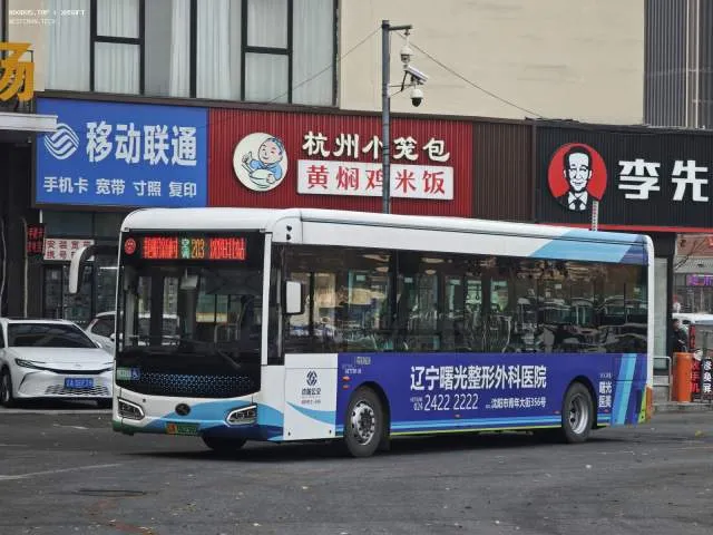 辽A 06256D