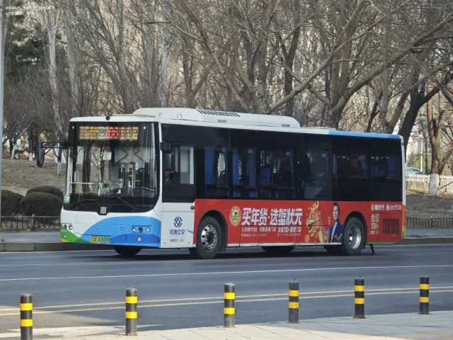 辽A 01838D