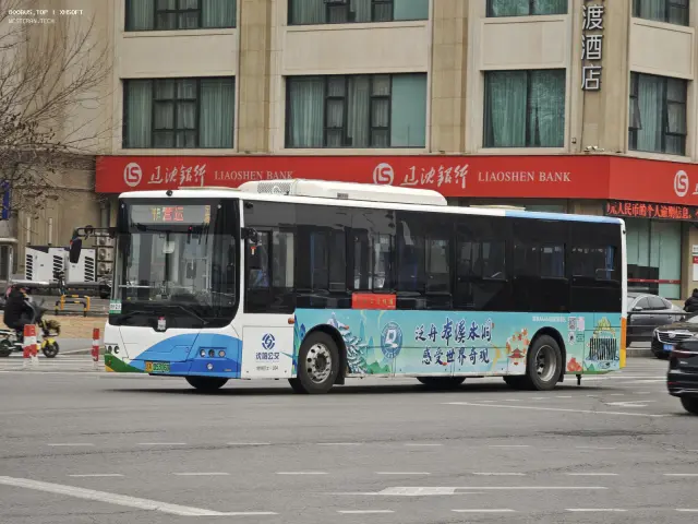 辽A 05316D