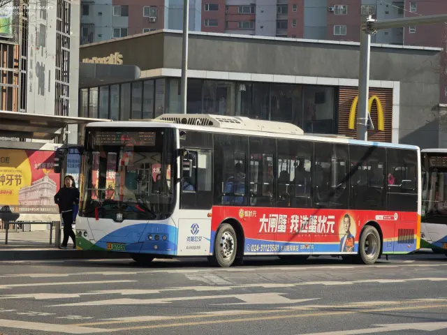 800BUS