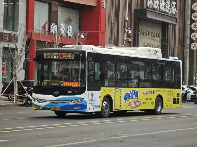 辽A BA017