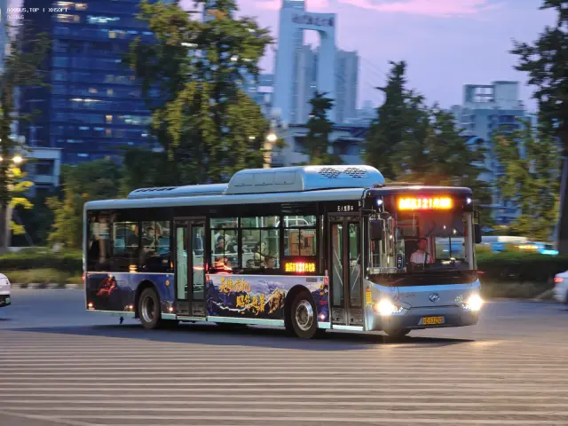 800BUS