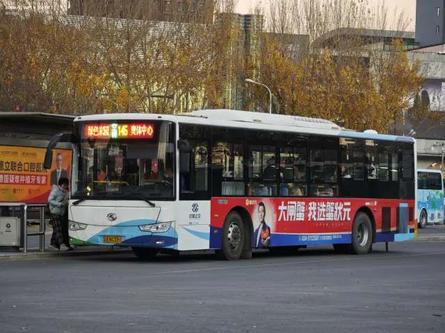 辽A BC391
